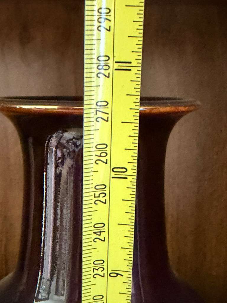 Vintage Brown Peacock Floral Brown Gold Painted Japanese Vase 11" Tall